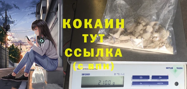 меф Инта