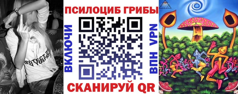 Купить закладки  Вятские Поляны  Галлюциногенные грибы ЛСД 